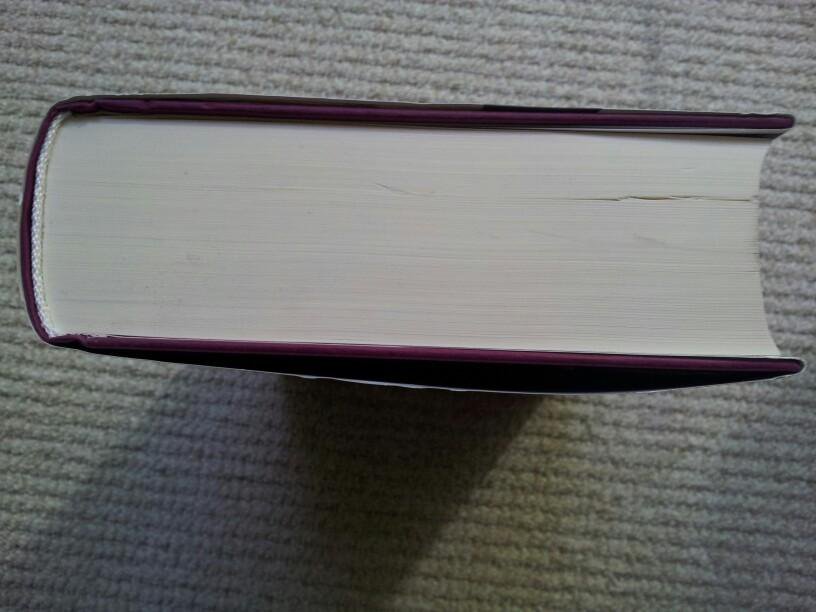 Roman: Das fremde Mädchen von Katherine Webb *neu*