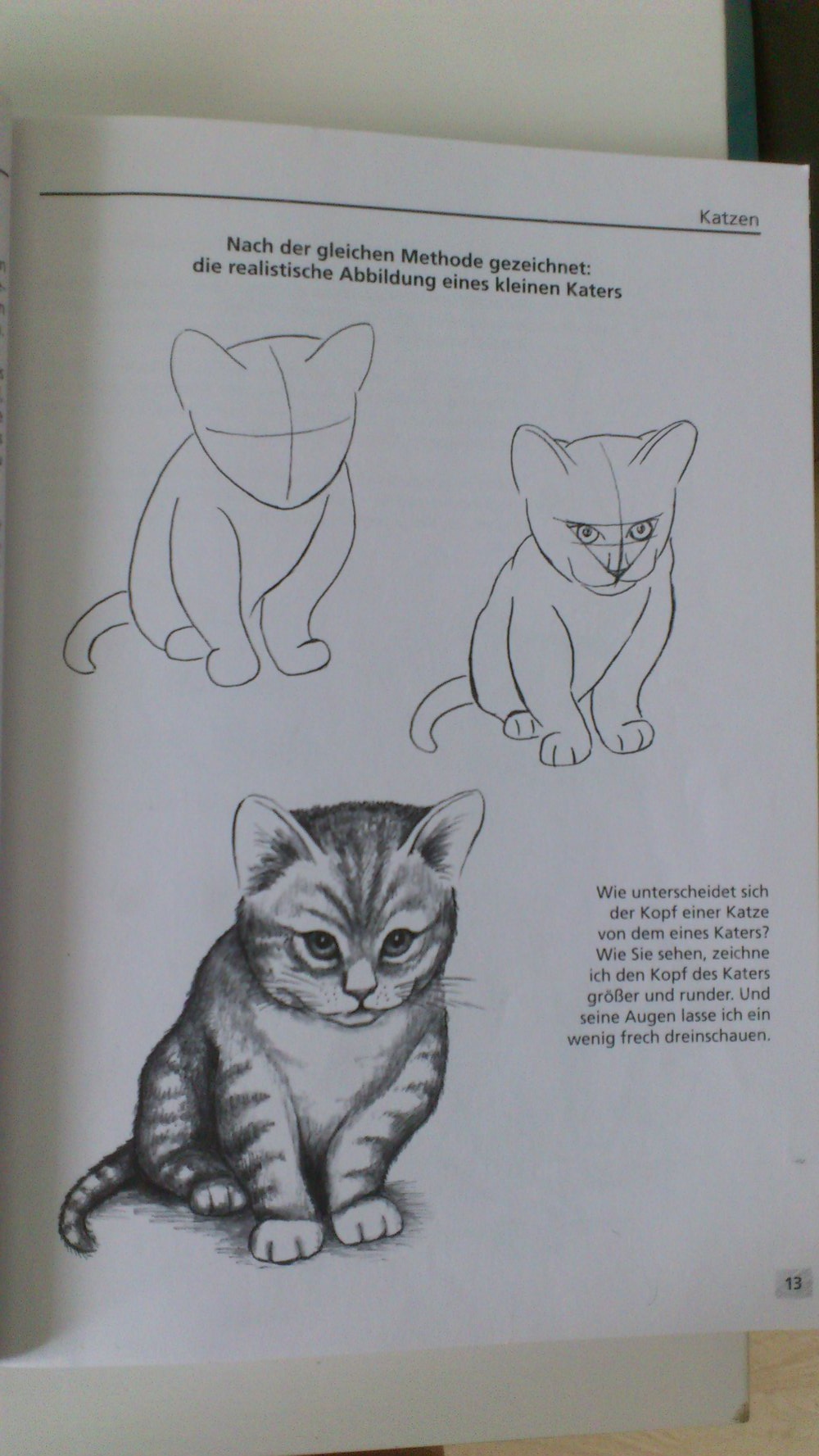 Die grosse Zeichenschule Tiere