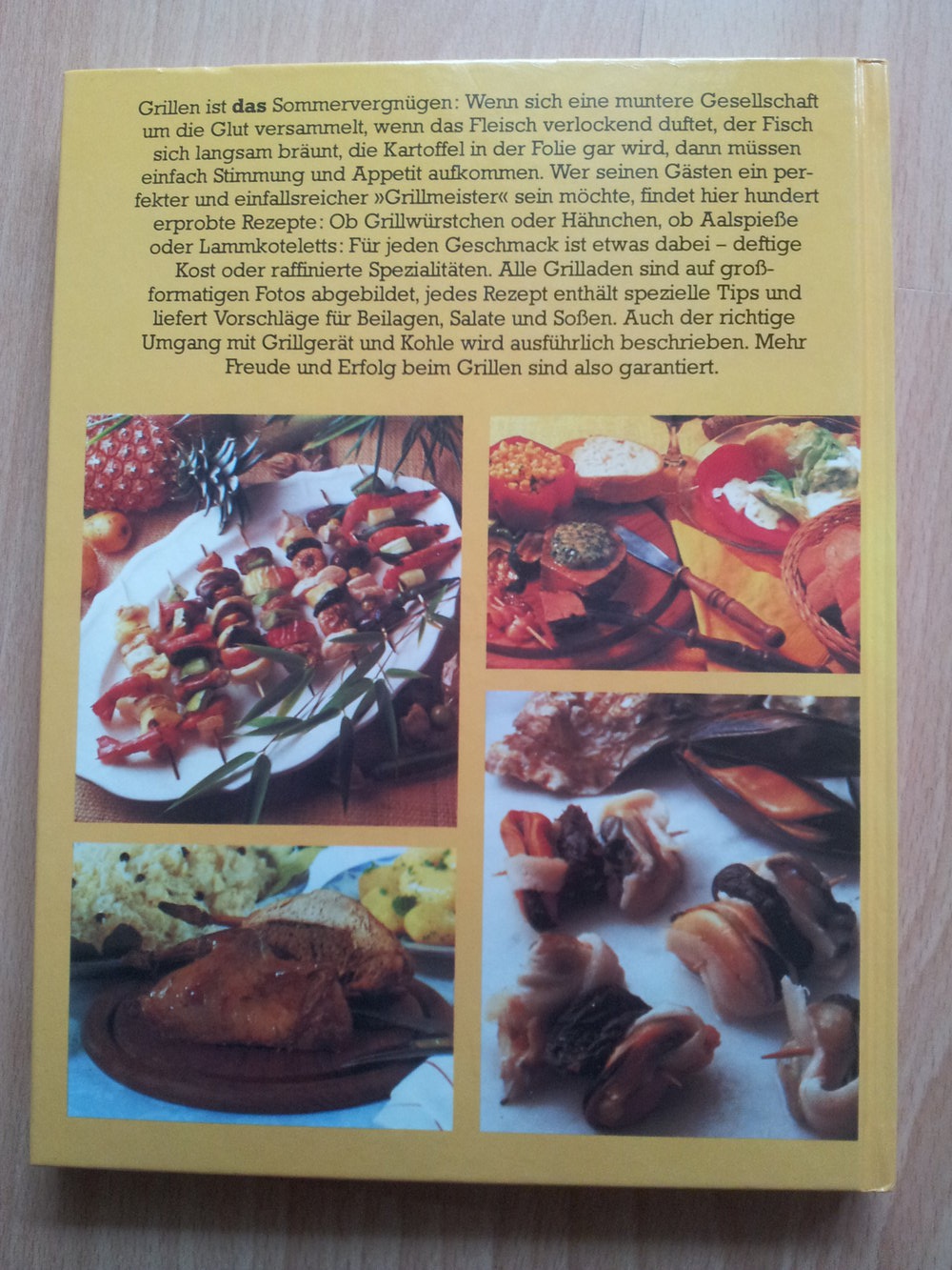 Kochbuch - Mehr Freude und Erfolg bei Grillen