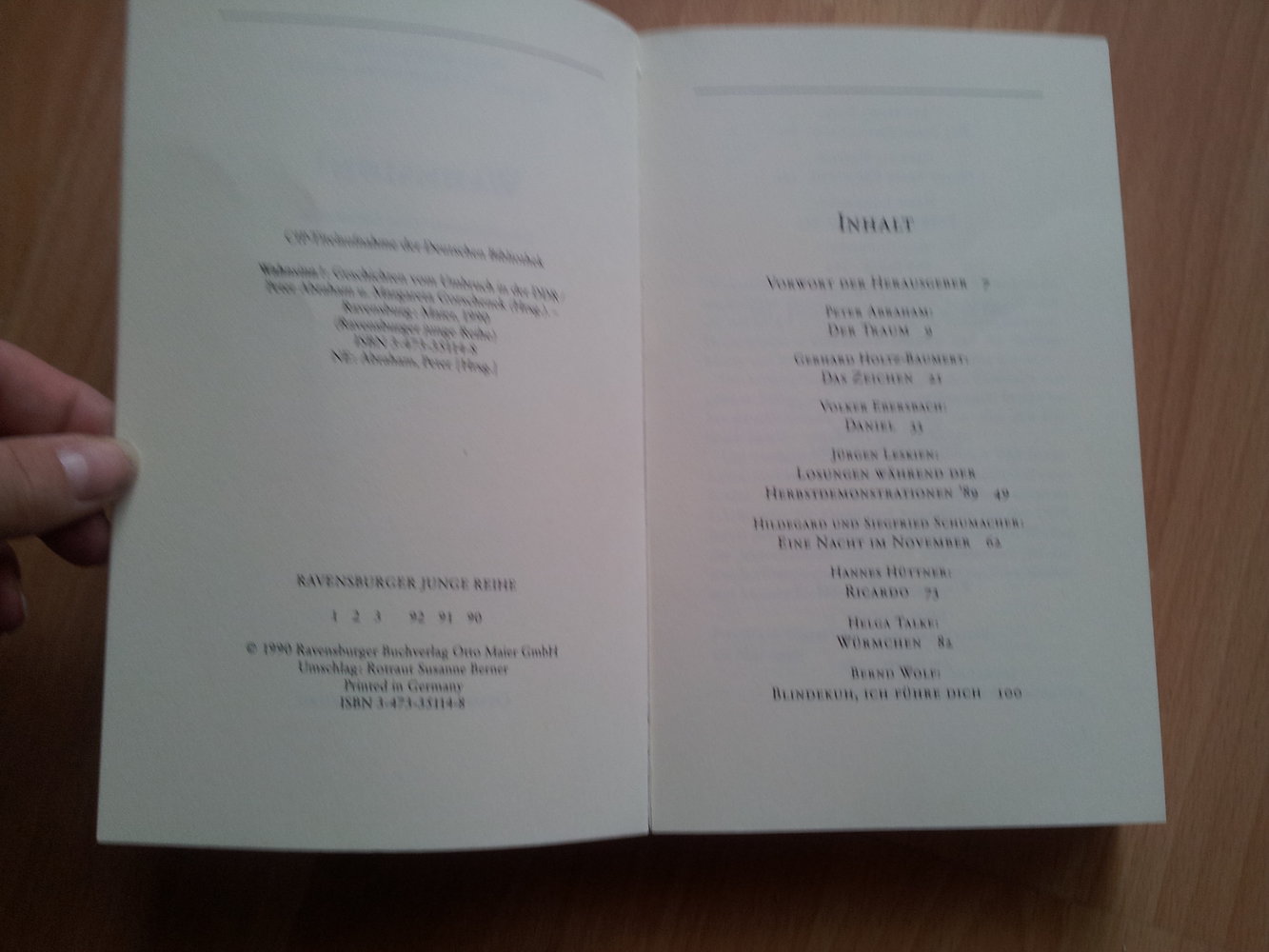 Wahnsinn! -Geschichten vom Umbruch in der DDR