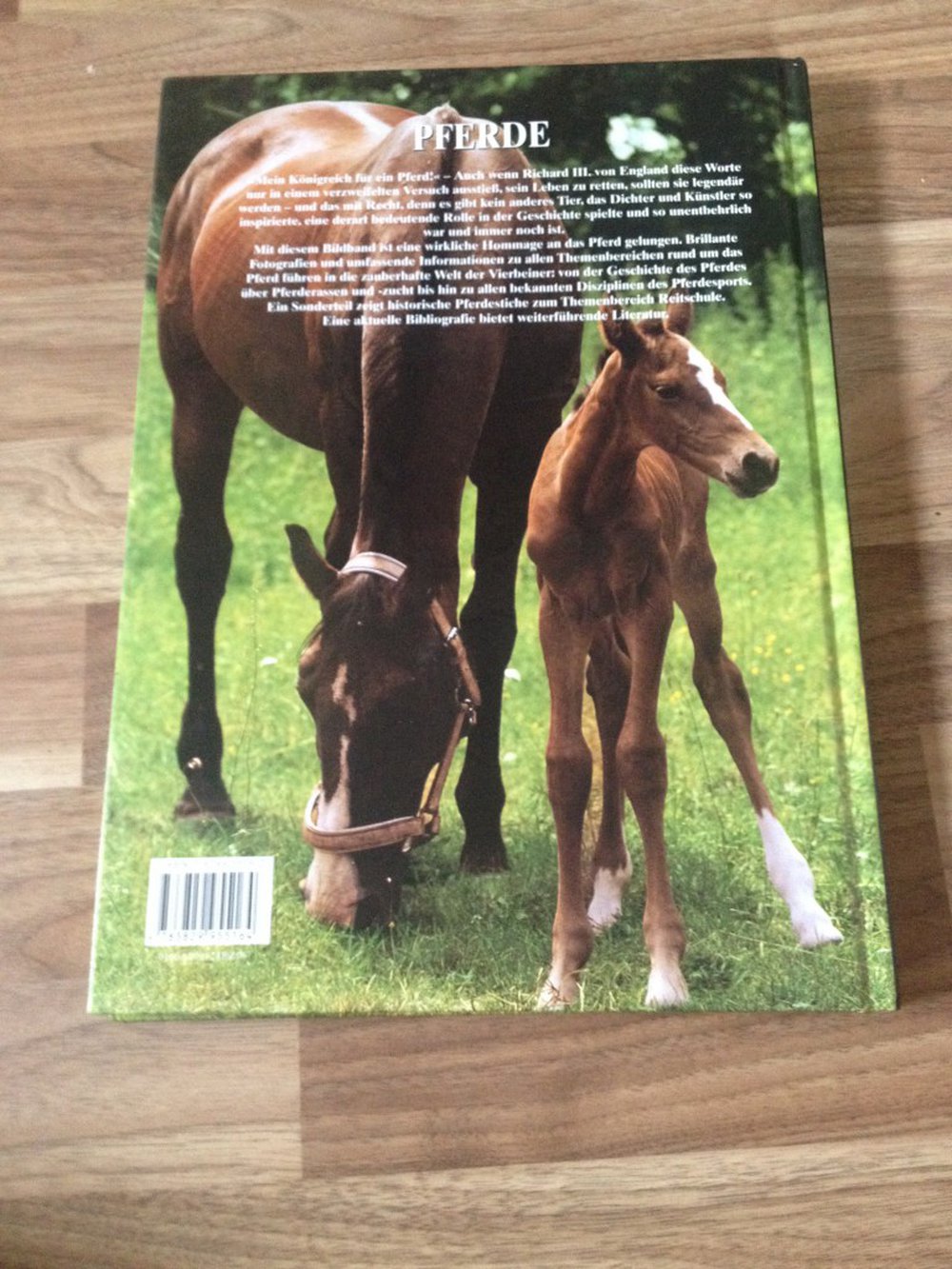 Pferde: Schönheit, Kraft und Eleganz