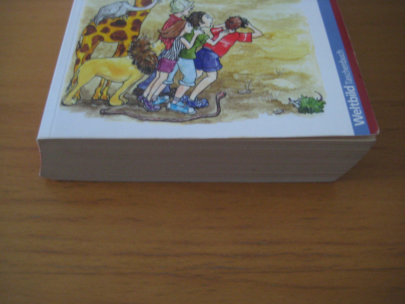 Hühnerbus und Stoppelhopser