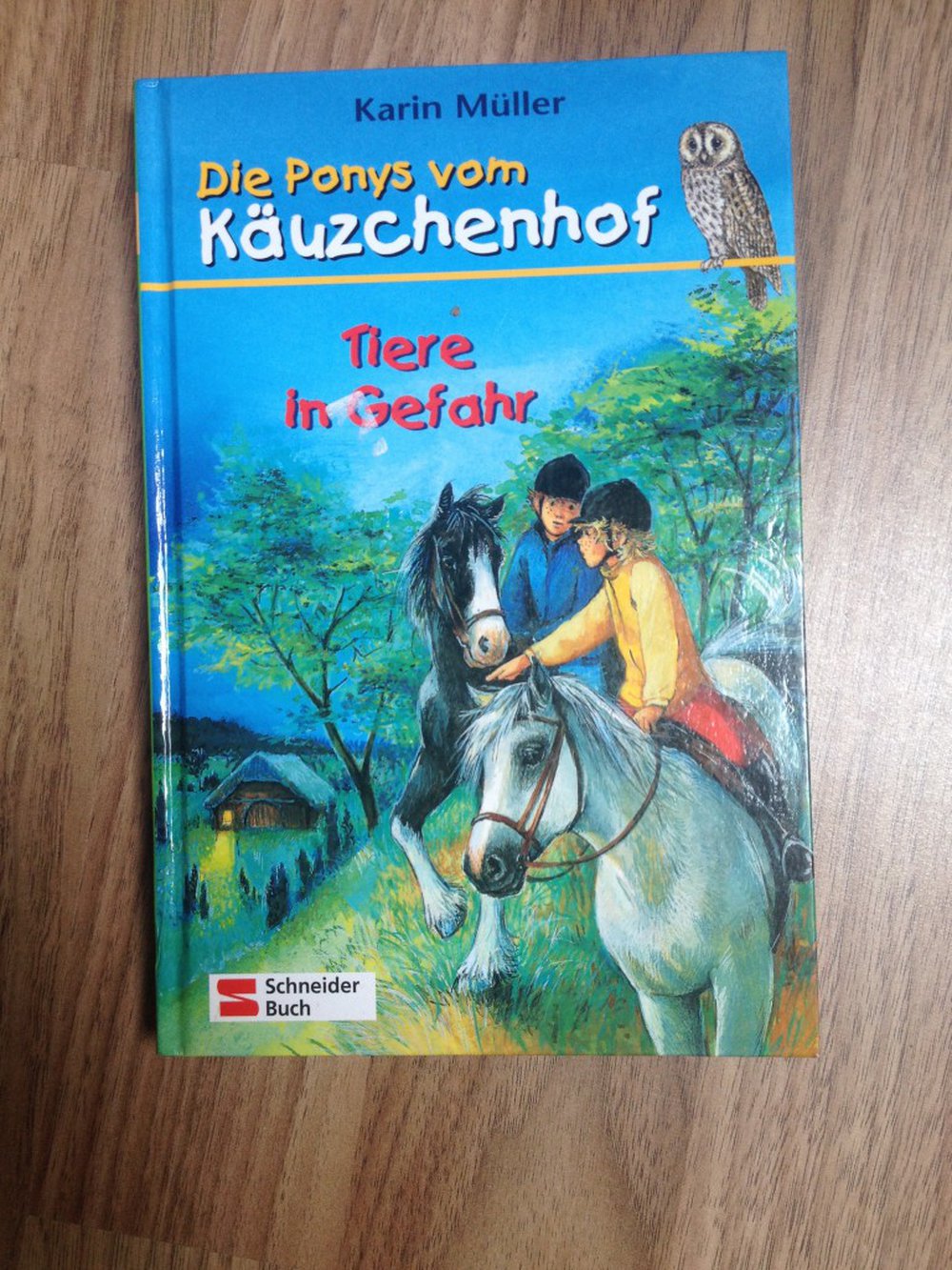 Die Ponys vom Käuzchenhof: Tiere in Gefahr