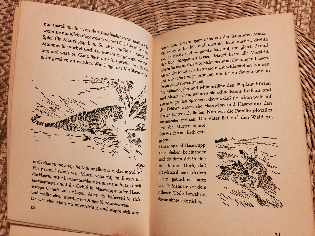 Mümmeljahn und Mümmelline 