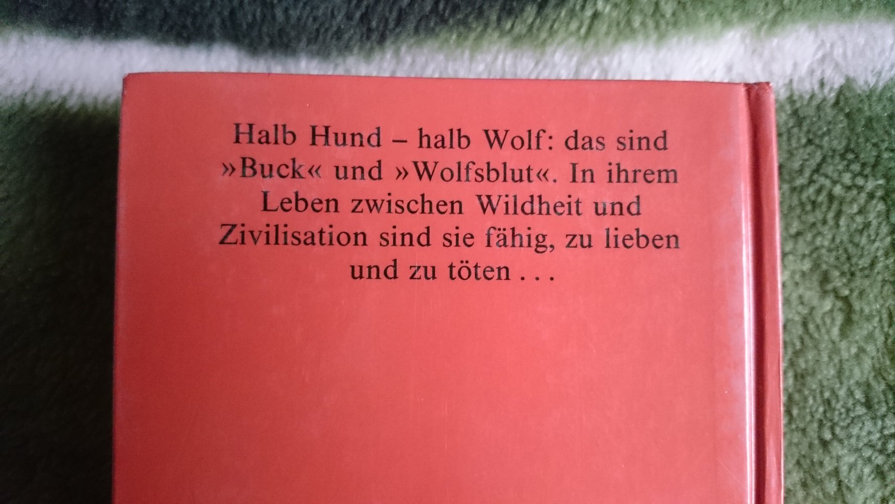 Ruf der Wildnis/ Wolfsblut 