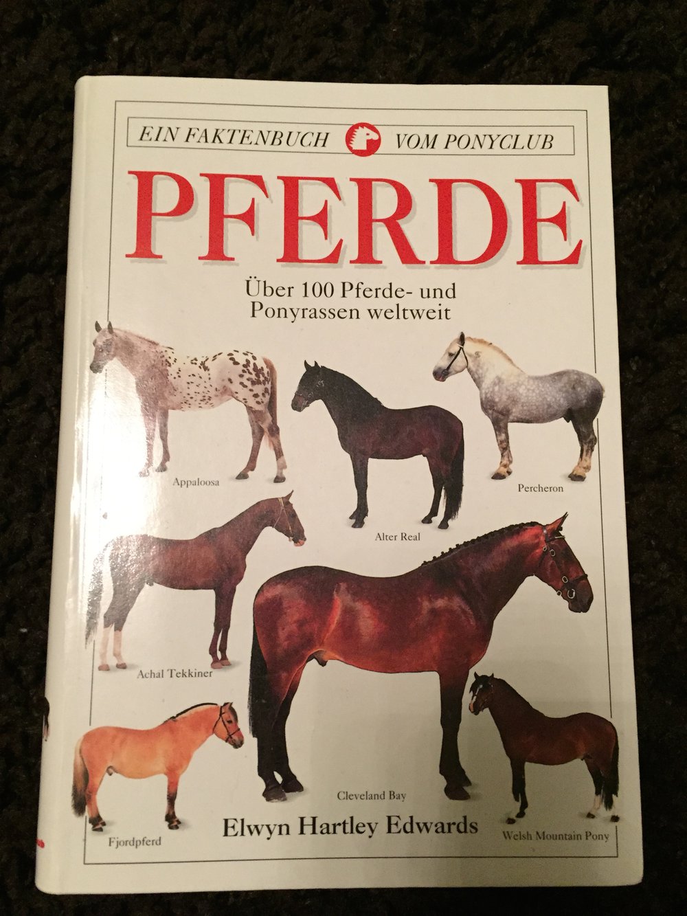 Pferde