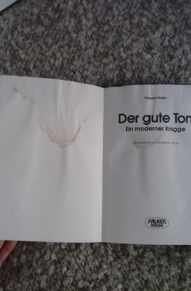 Der gute Ton. Ein moderner Knigge 