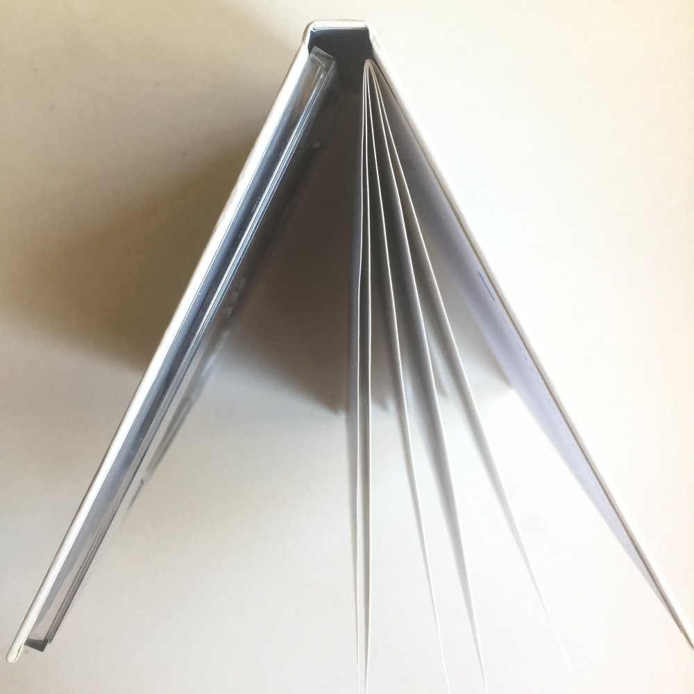 DVD Der Pianist von Roman Polanski mit Adrien Brody 2002