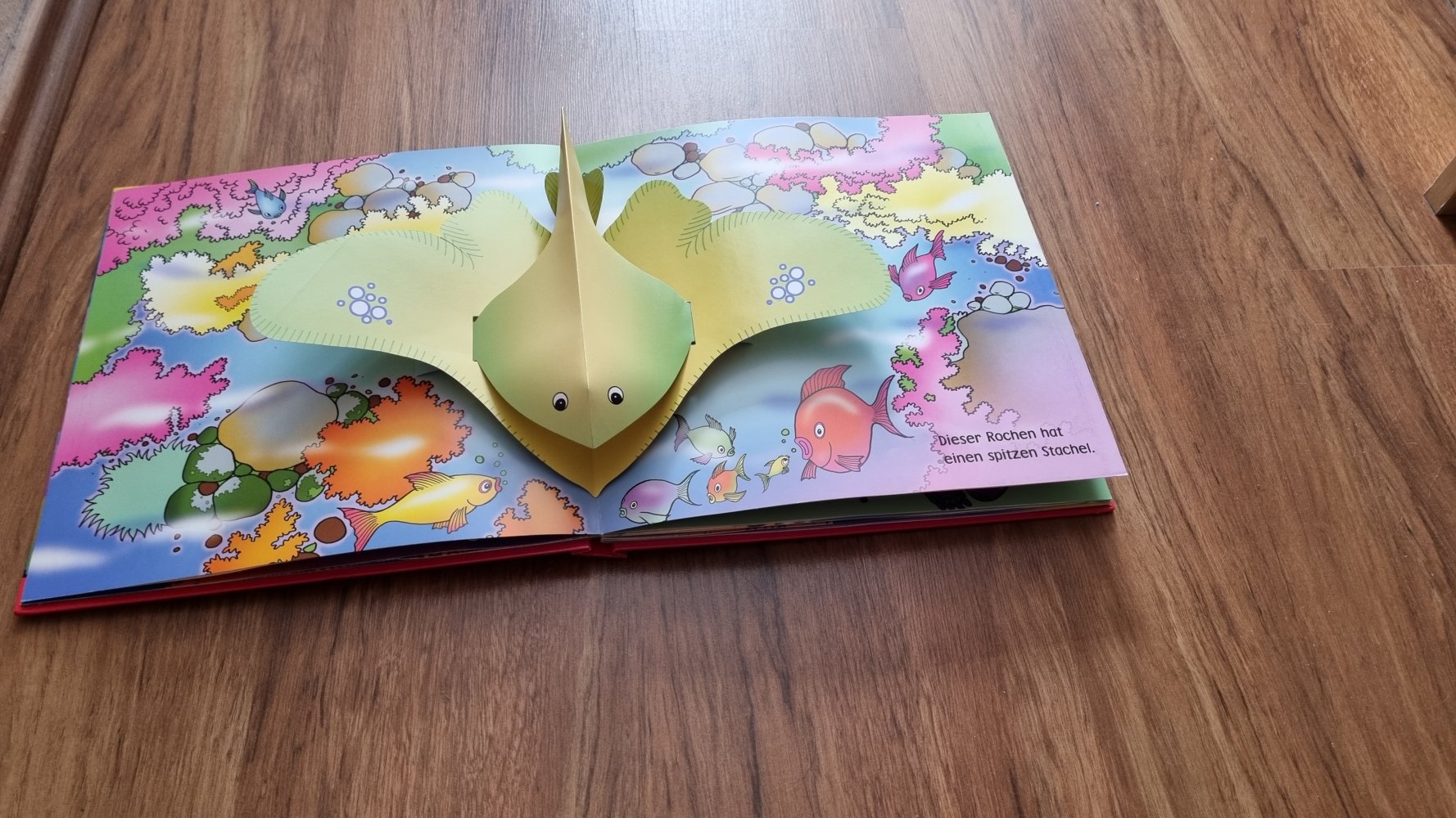 Pop up Buch Meerestiere