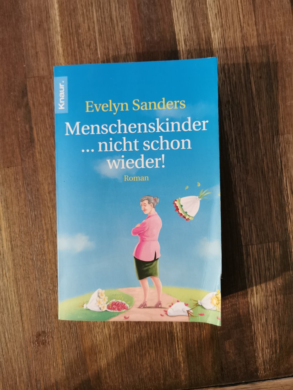 Roman von Evelyn Sanders