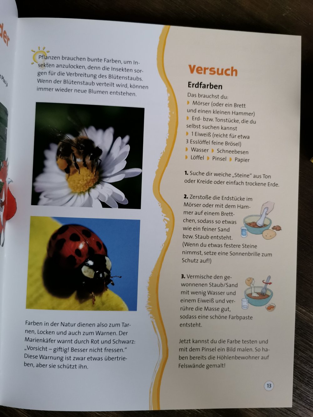 Großes Forscherbuch mit Experimenten, Spielen und Geschichten 