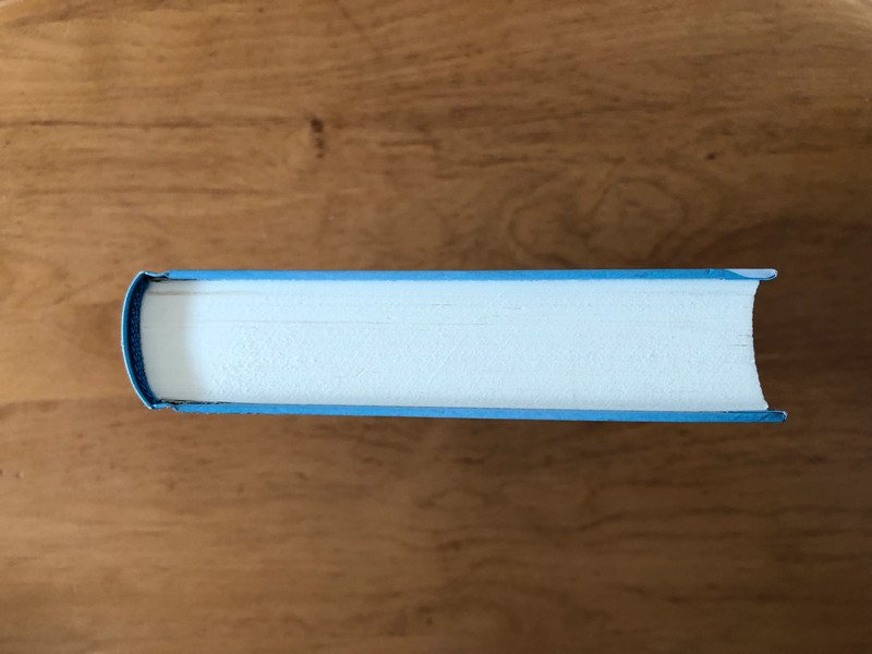 Elena Ein Leben für die Pferde Sommer der Entscheidung