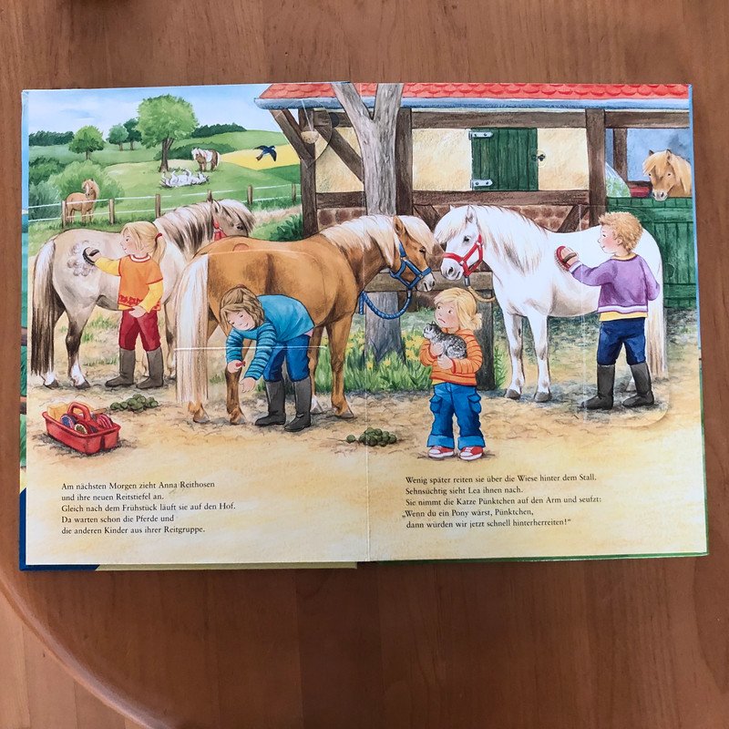 Großes Pferdebuch mit Klappen Ravensburger