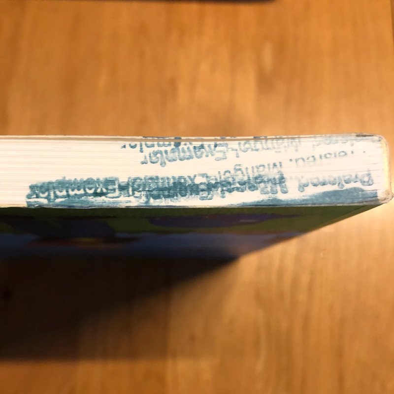 Kinderbuch Das große Schnüpperle Schulgeschichtenbuch