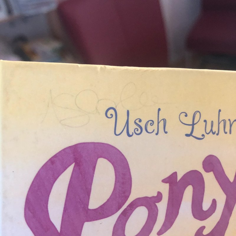 Ponyherz Anni rettet das Fohlen gebunden 