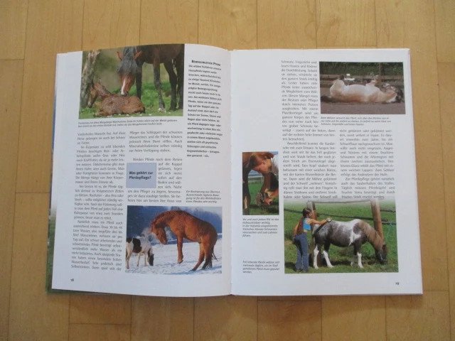 Was ist Was Buch Band 27 Pferde