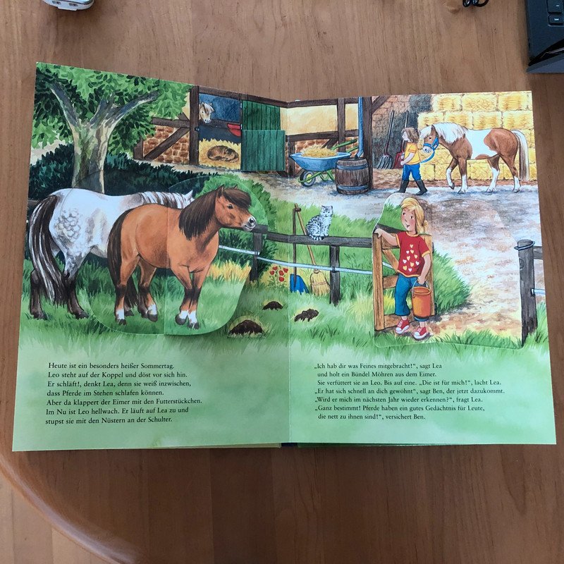 Großes Pferdebuch mit Klappen Ravensburger