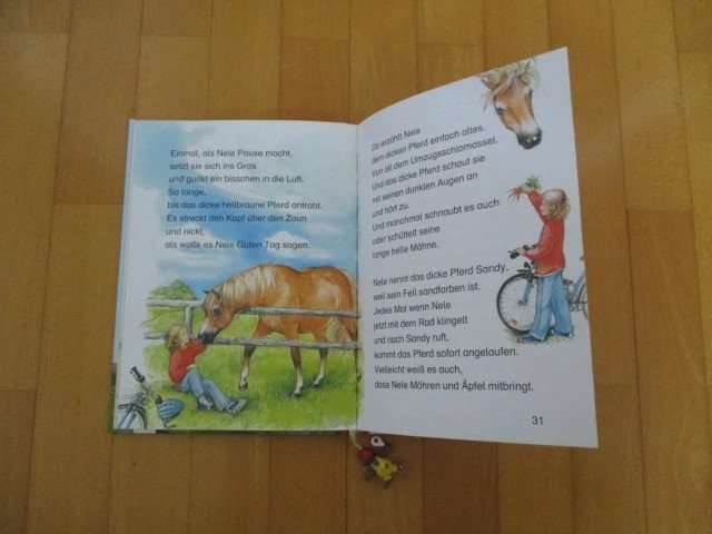 Pferdebuch Pferdegschichten mit Lesezeichen