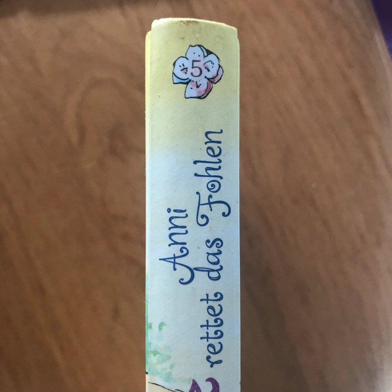 Ponyherz Anni rettet das Fohlen gebunden 