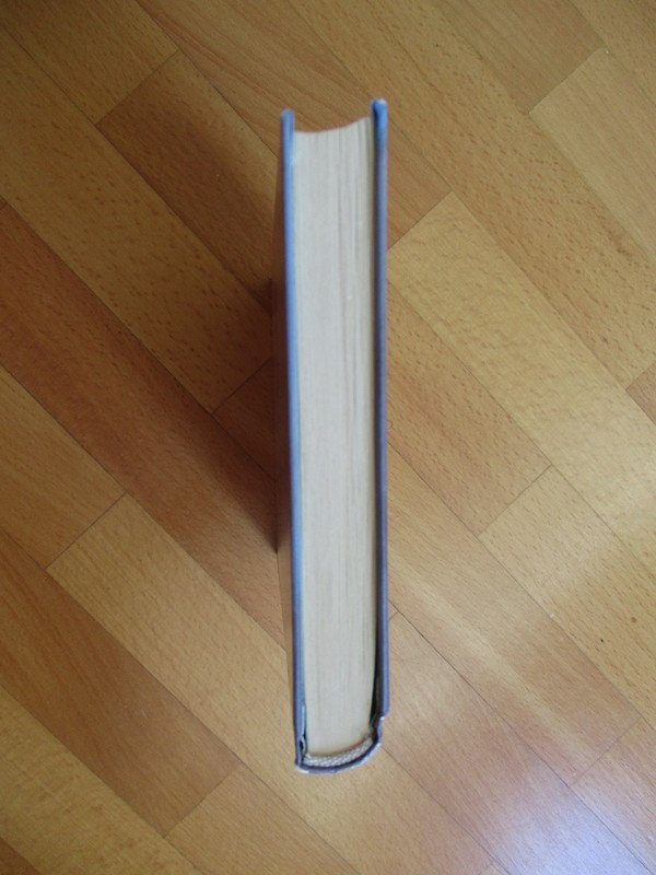 Suder Hof Dany,der rettende Engel Band 24