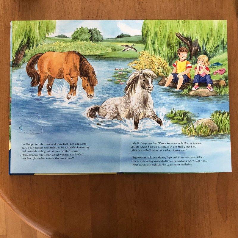 Großes Pferdebuch mit Klappen Ravensburger