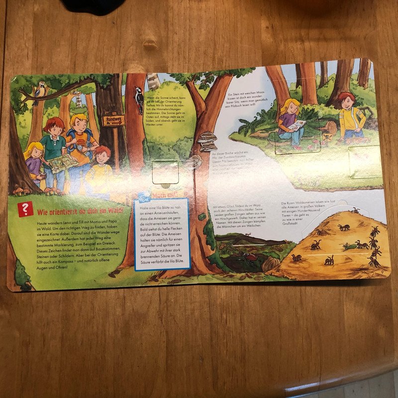 Erlebe die Natur Was ist was junior Ting