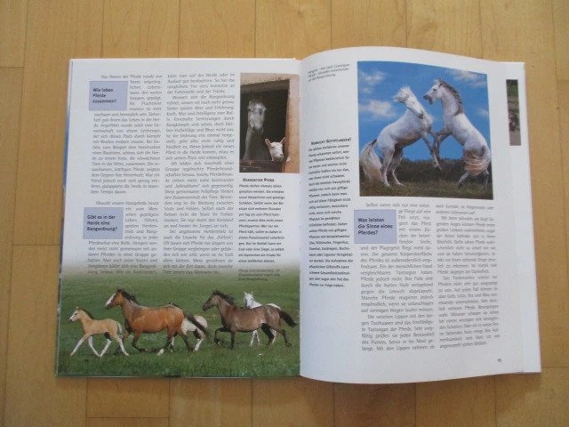 Was ist Was Buch Band 27 Pferde