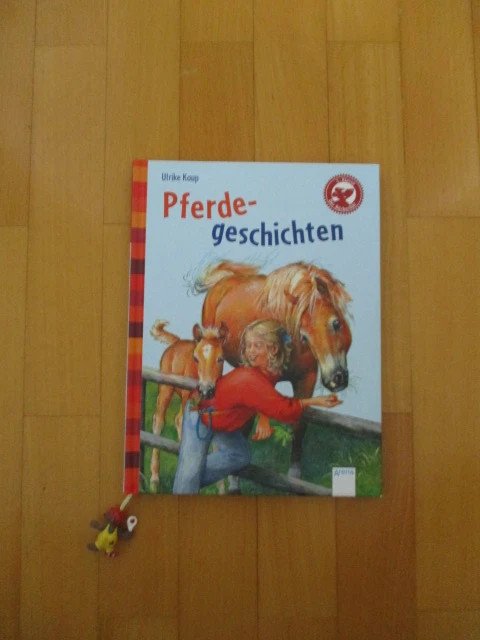 Pferdebuch Pferdegschichten mit Lesezeichen