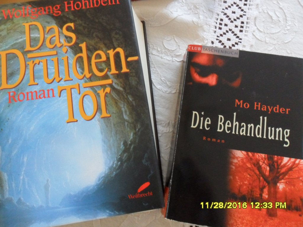 Das Druidentor HOHLBEIN Marion ZIMMER-BRADLEY Mo Hayder Die Behandlung Fantasy Krimi Dicke Schmöker TOP