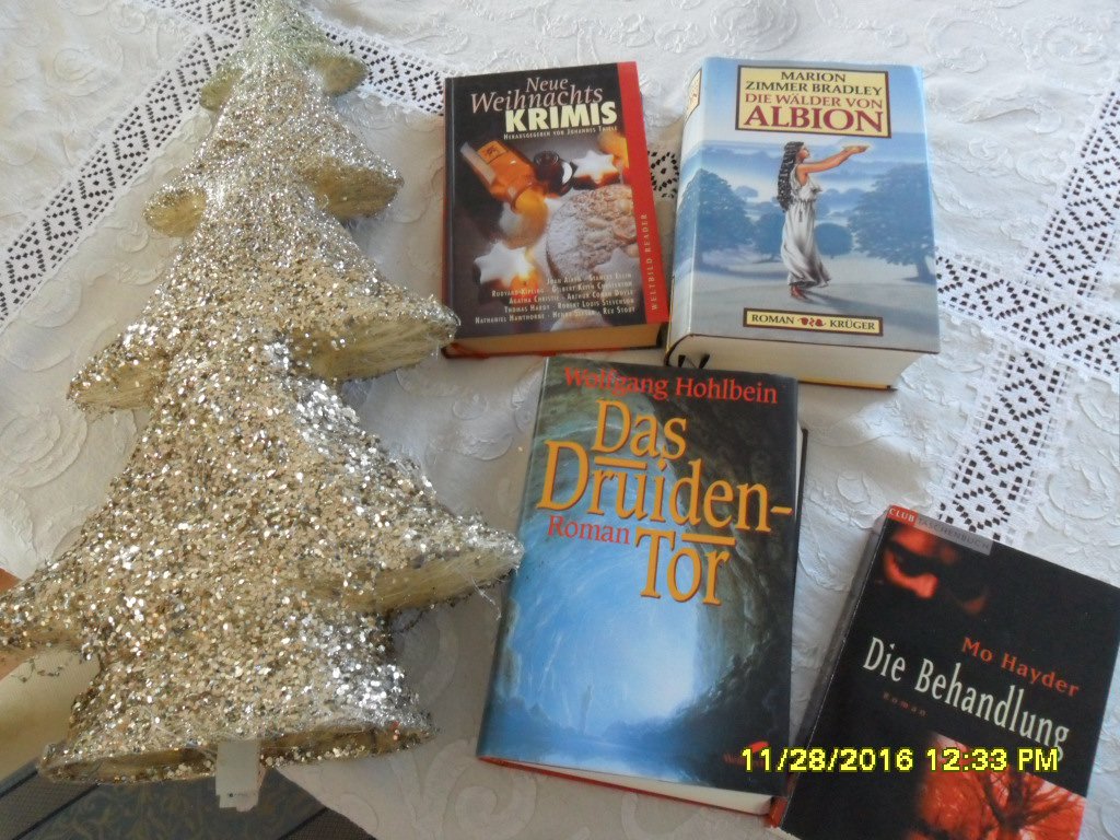 Das Druidentor HOHLBEIN Marion ZIMMER-BRADLEY Mo Hayder Die Behandlung Fantasy Krimi Dicke Schmöker TOP