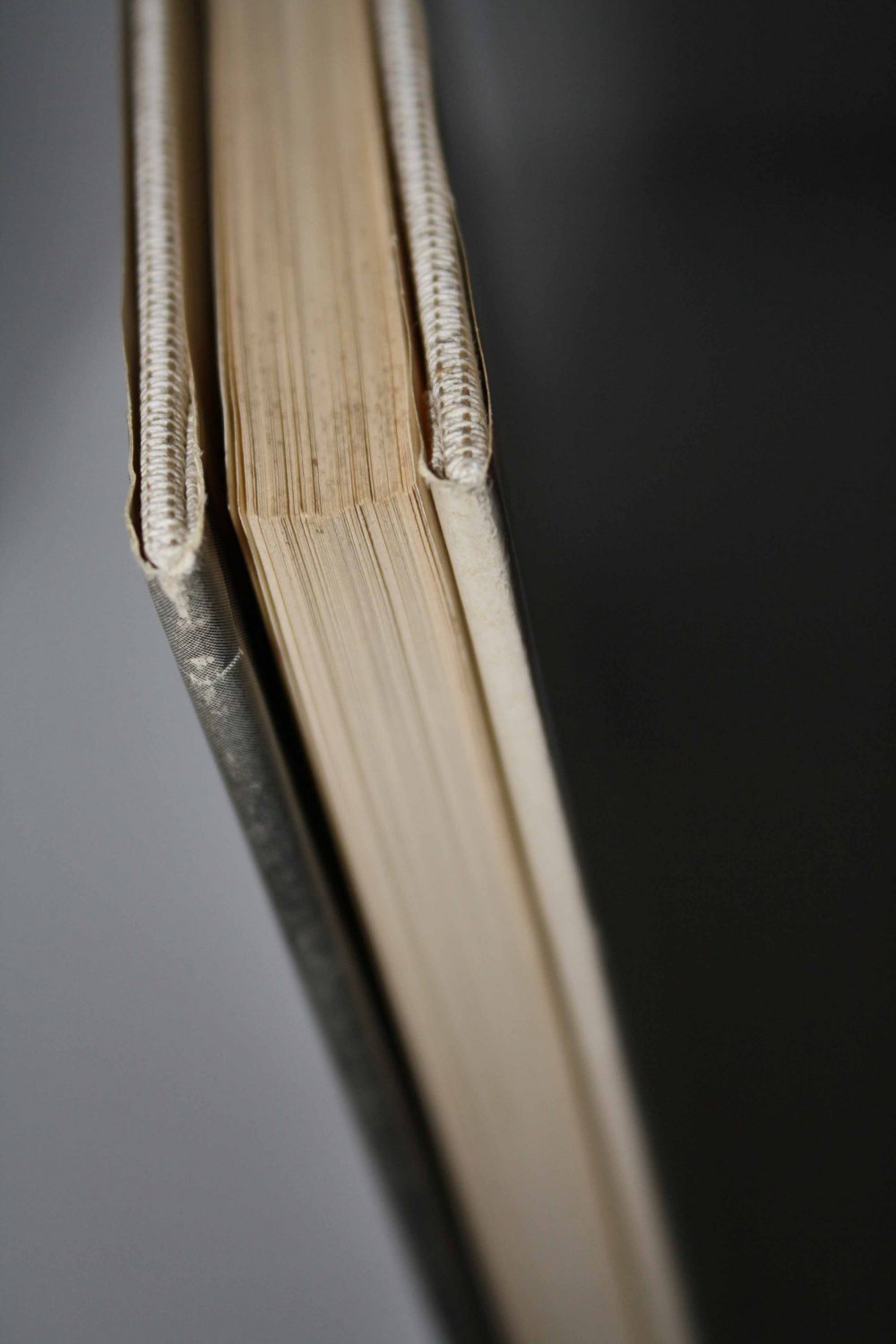 Spanische Zeichnungen vom 10. bis zum 19. Jahrhundert - Bibliothek der Meisterzeichnungen im Hoffmann und Campe Verlag. Band 2