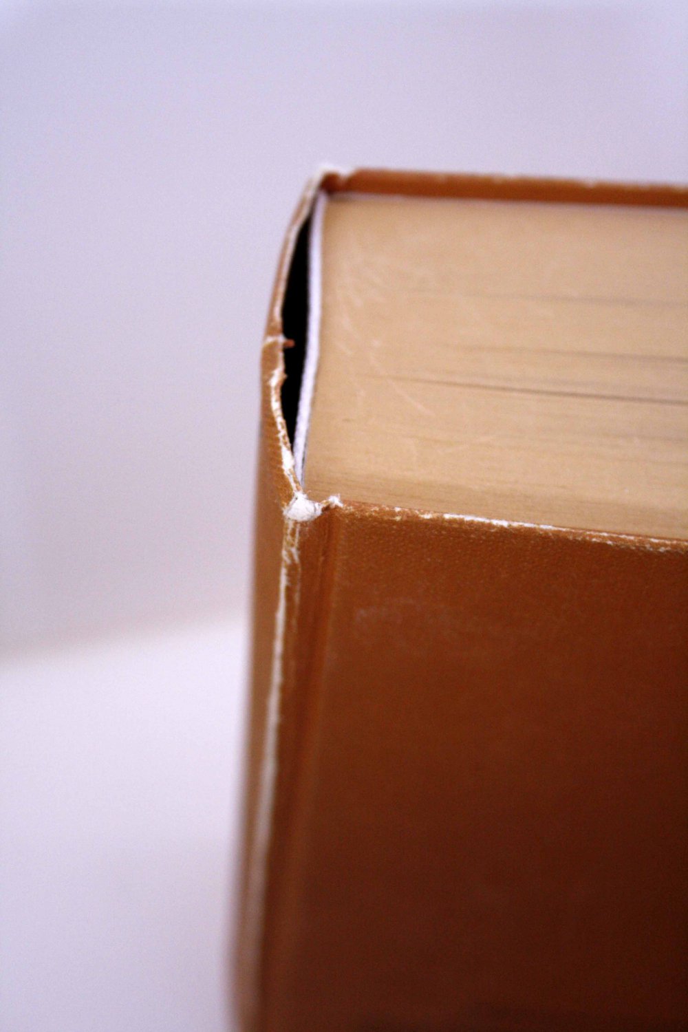 Die Sagen des klassischen Altertums. Erzählungen aus der alten Welt. Illustrierte Gesamtausgabe - H. W. Stoll