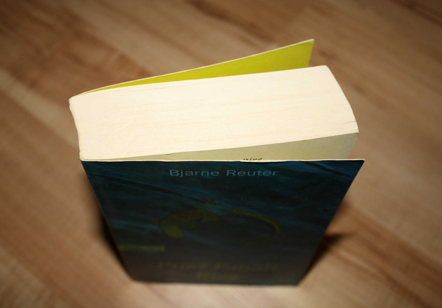 Prinz Faisals Ring - Bjarne Reuter