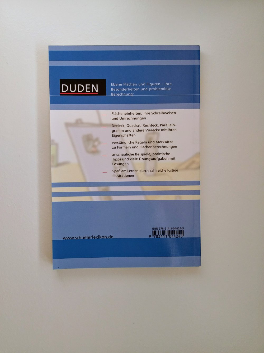 'Flächen und ihre Berechnung 1' (Duden)