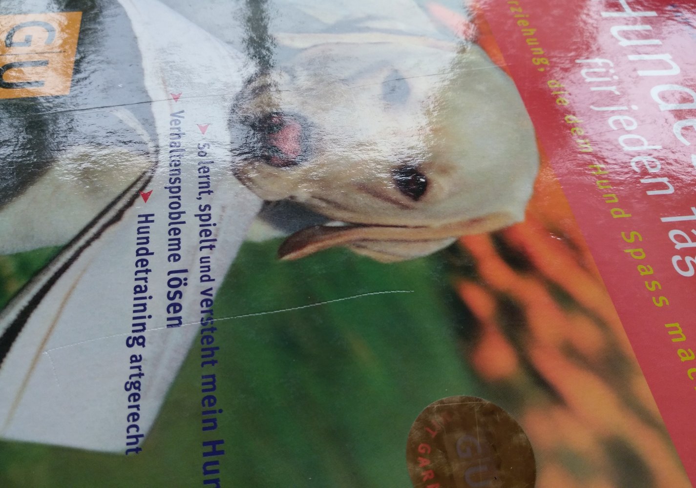 'Hundeschule für jeden Tag' von GU