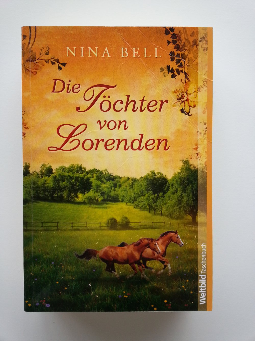 'Die Töchter von Lorenden' von Nina Bell