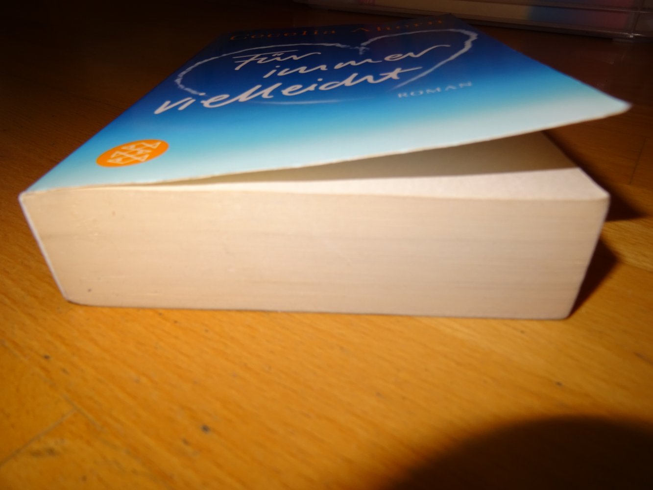 Cecelia Ahern Für immer vielleicht Taschenbuch 