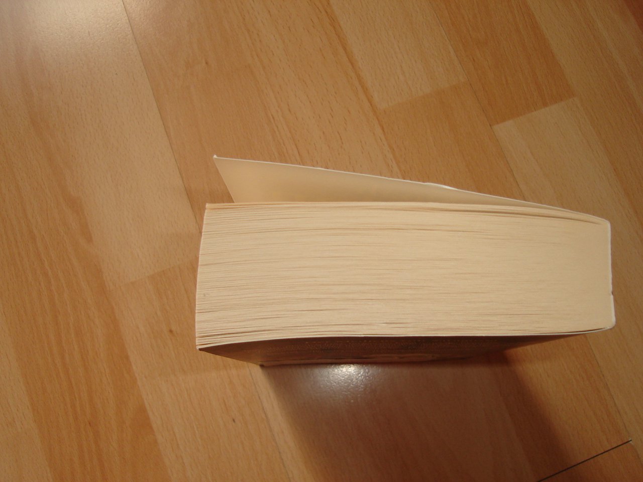 Der Medicus von Saragossa - Noah Gordon - Roman - 2001