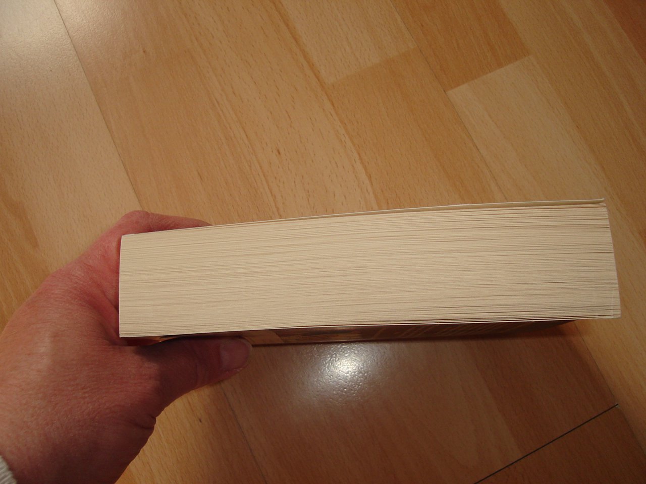 Der Medicus von Saragossa - Noah Gordon - Roman - 2001