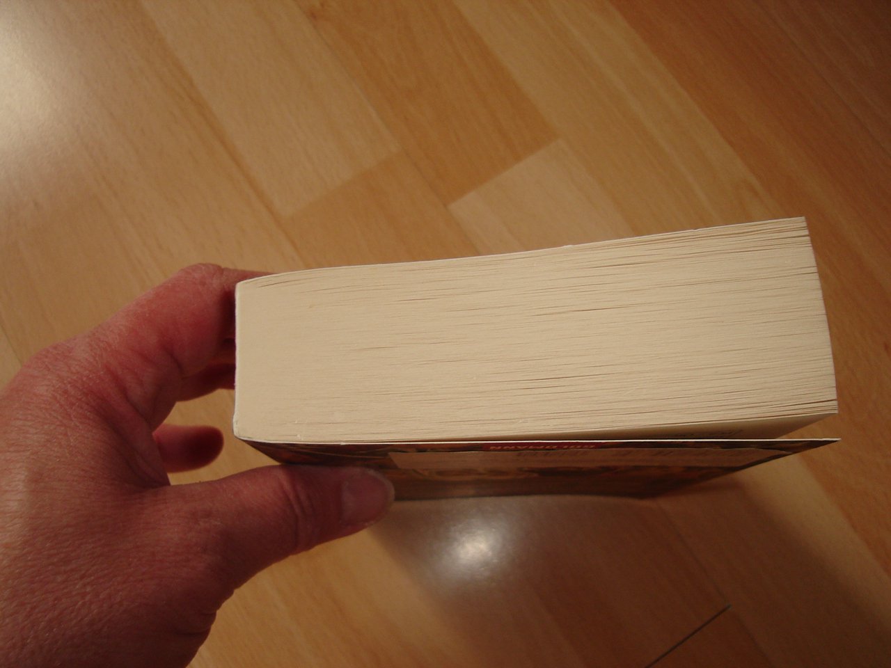 Der Medicus von Saragossa - Noah Gordon - Roman - 2001