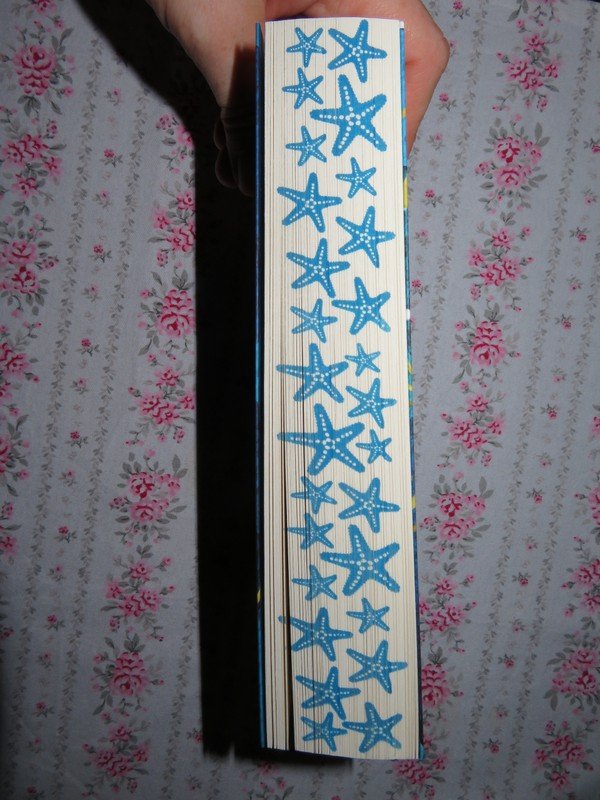 Die Bucht die im Mondlicht versank Lucy Clarke neuwertig