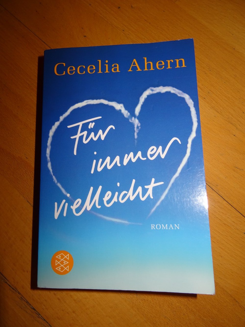 Cecelia Ahern Für immer vielleicht Taschenbuch 