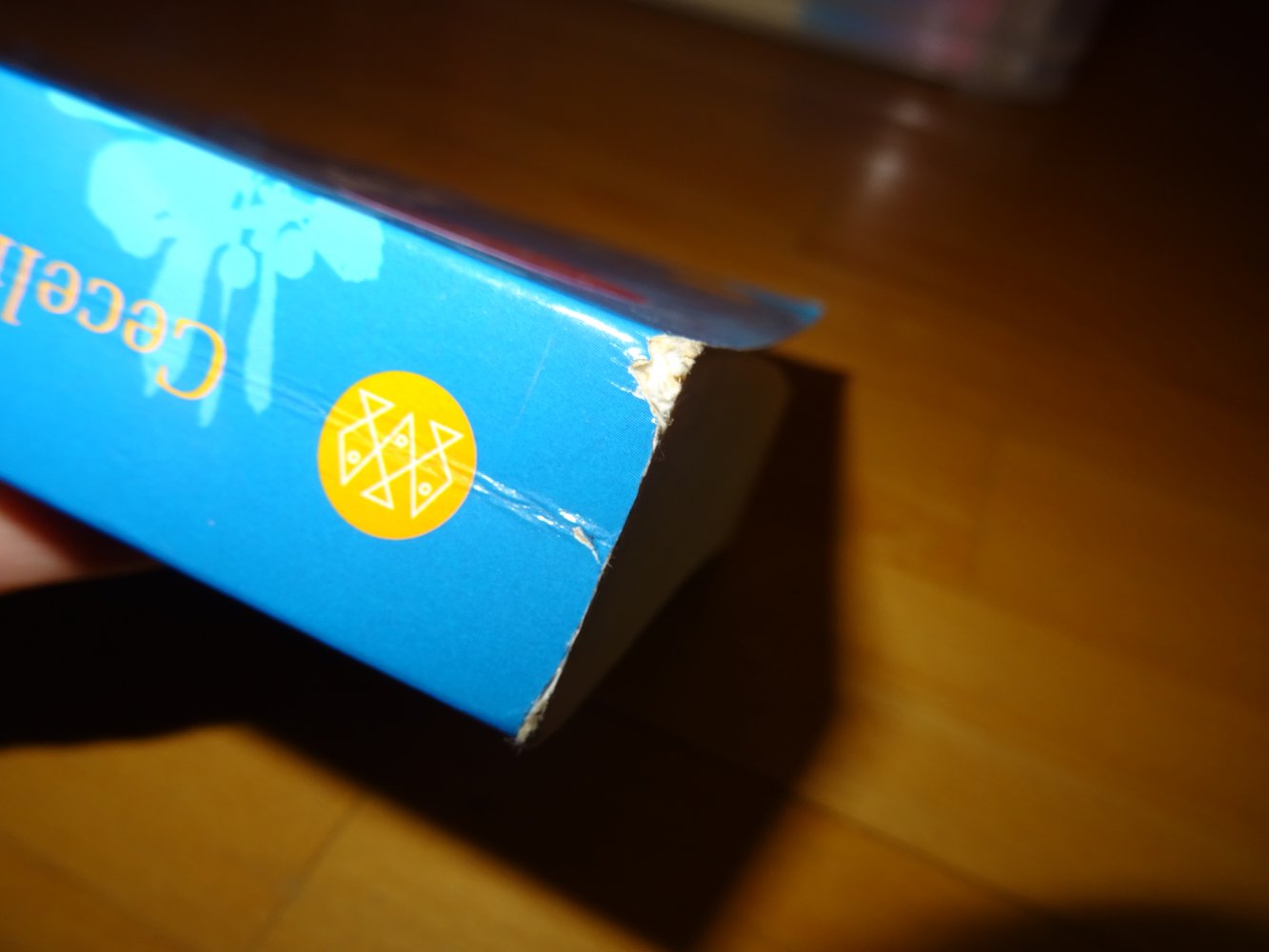 Ich hab dich im Gefühl Cecelia Ahern 