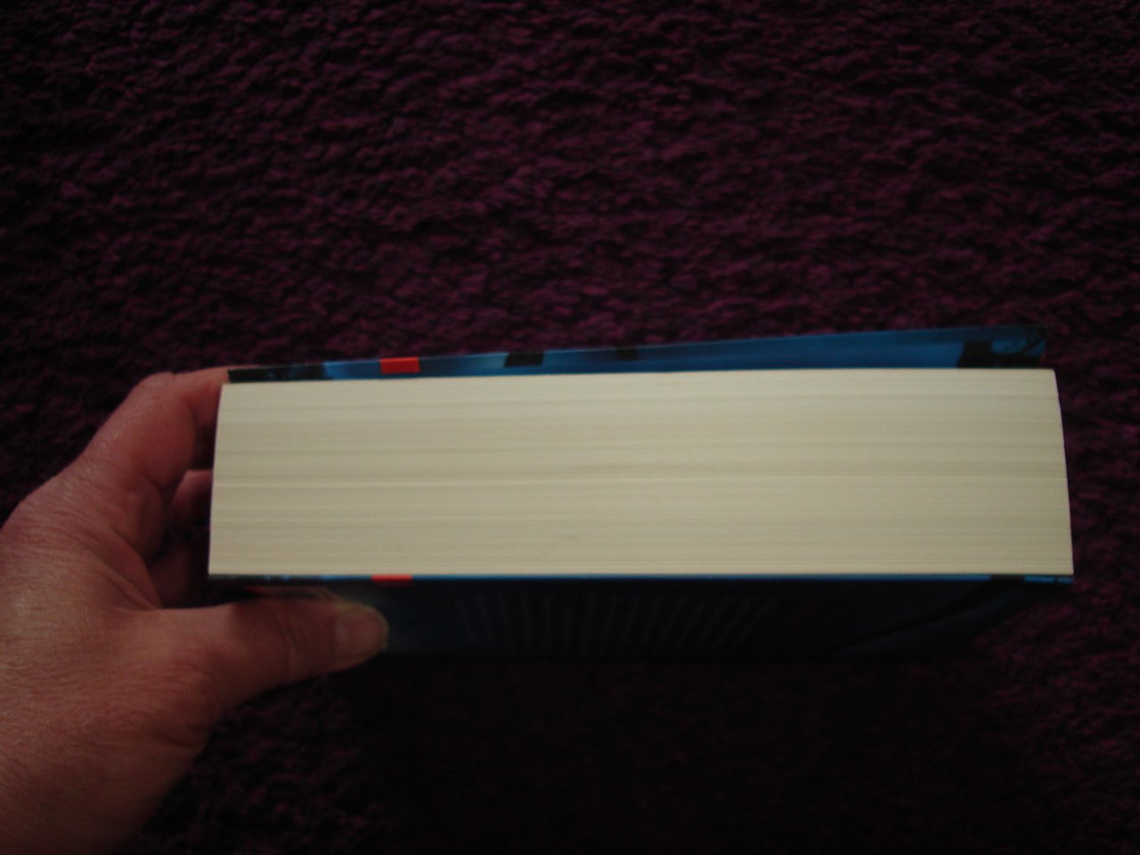 Nele Neuhaus Muttertag Taschenbuch Kriminalroman sehr sehr guter Zustand 