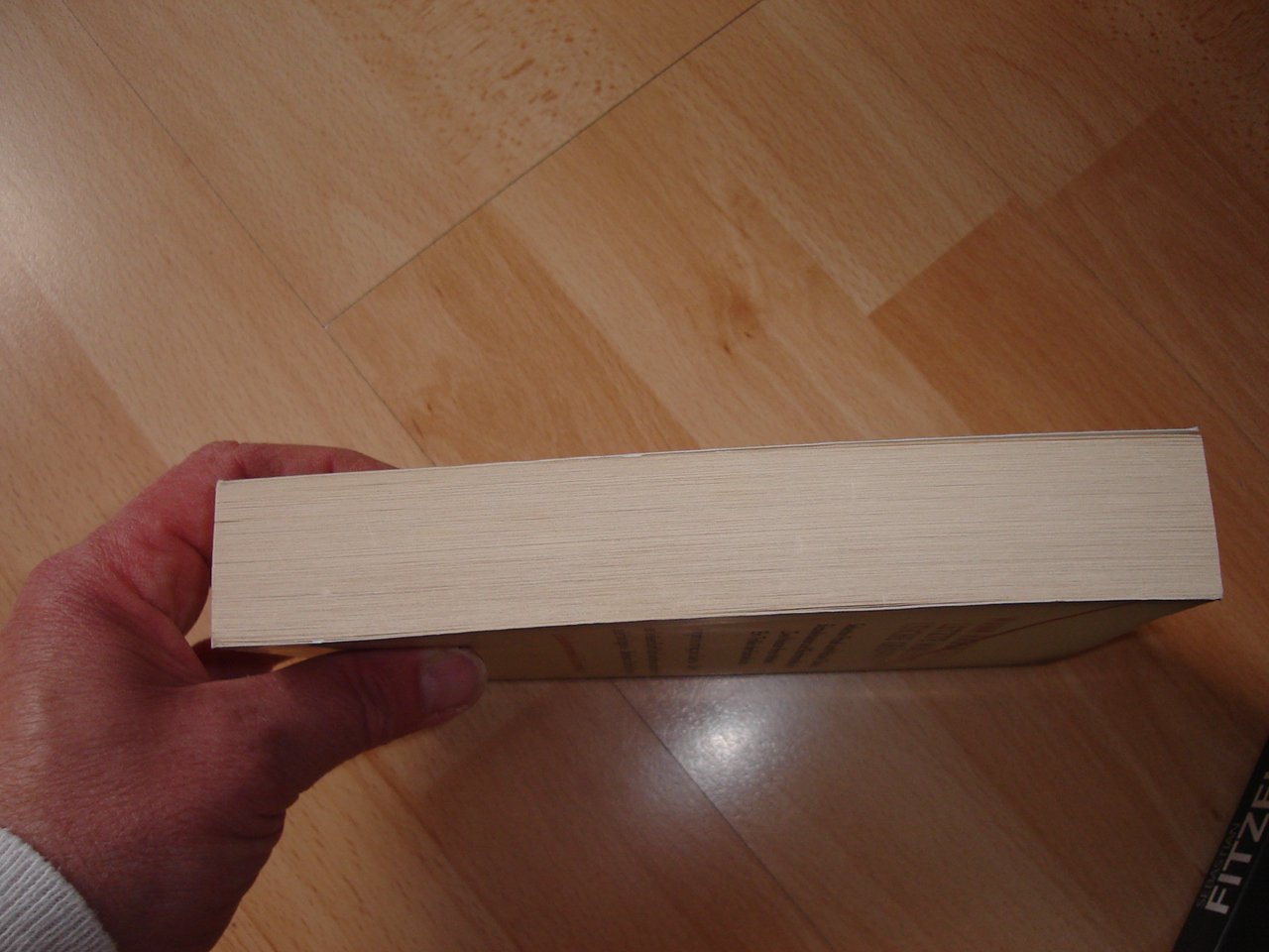 Abgeschnitten - Sebastian Fitzek + Tsokos - Taschenbuch - Neuwertig - 2013