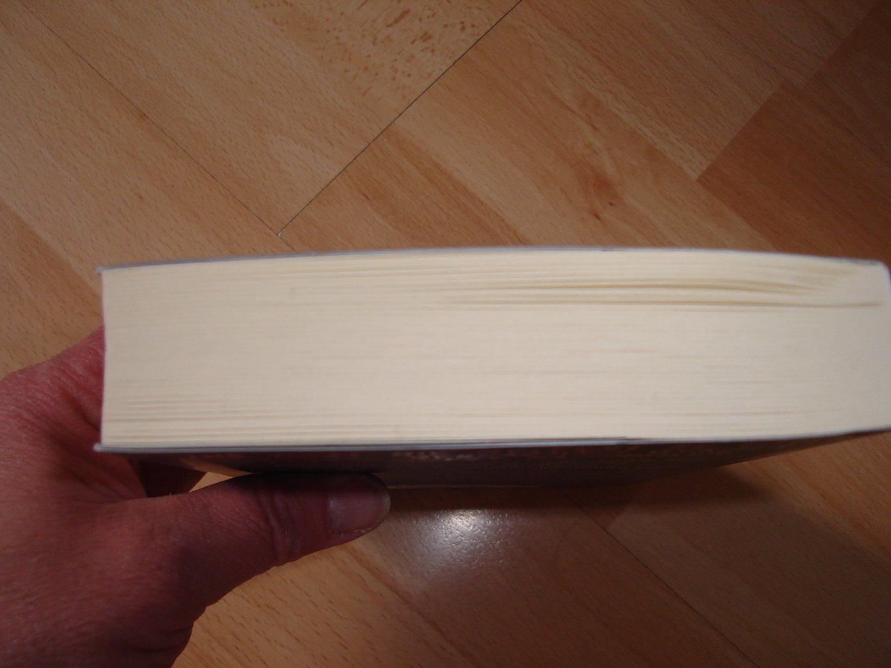 Die Blutschule - Max Rhode # Fitzek - Taschenbuch - neuwertig +Lesezeichen