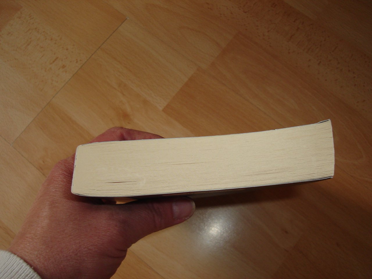 Der Nachtwandler - Sebastian Fitzek - Taschenbuch - Neuwertig - 2013