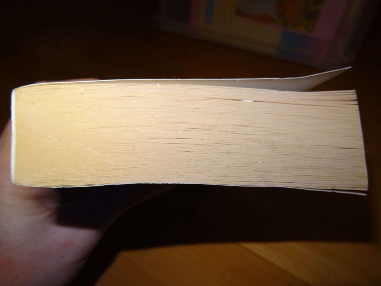 Cecelia Ahern Für immer vielleicht Taschenbuch 