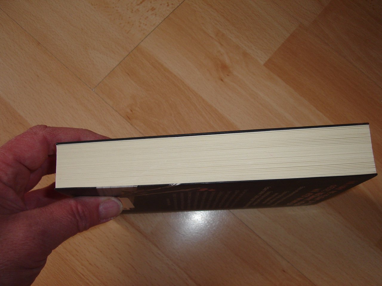 Die Blutschule - Max Rhode # Fitzek - Taschenbuch - neuwertig +Lesezeichen