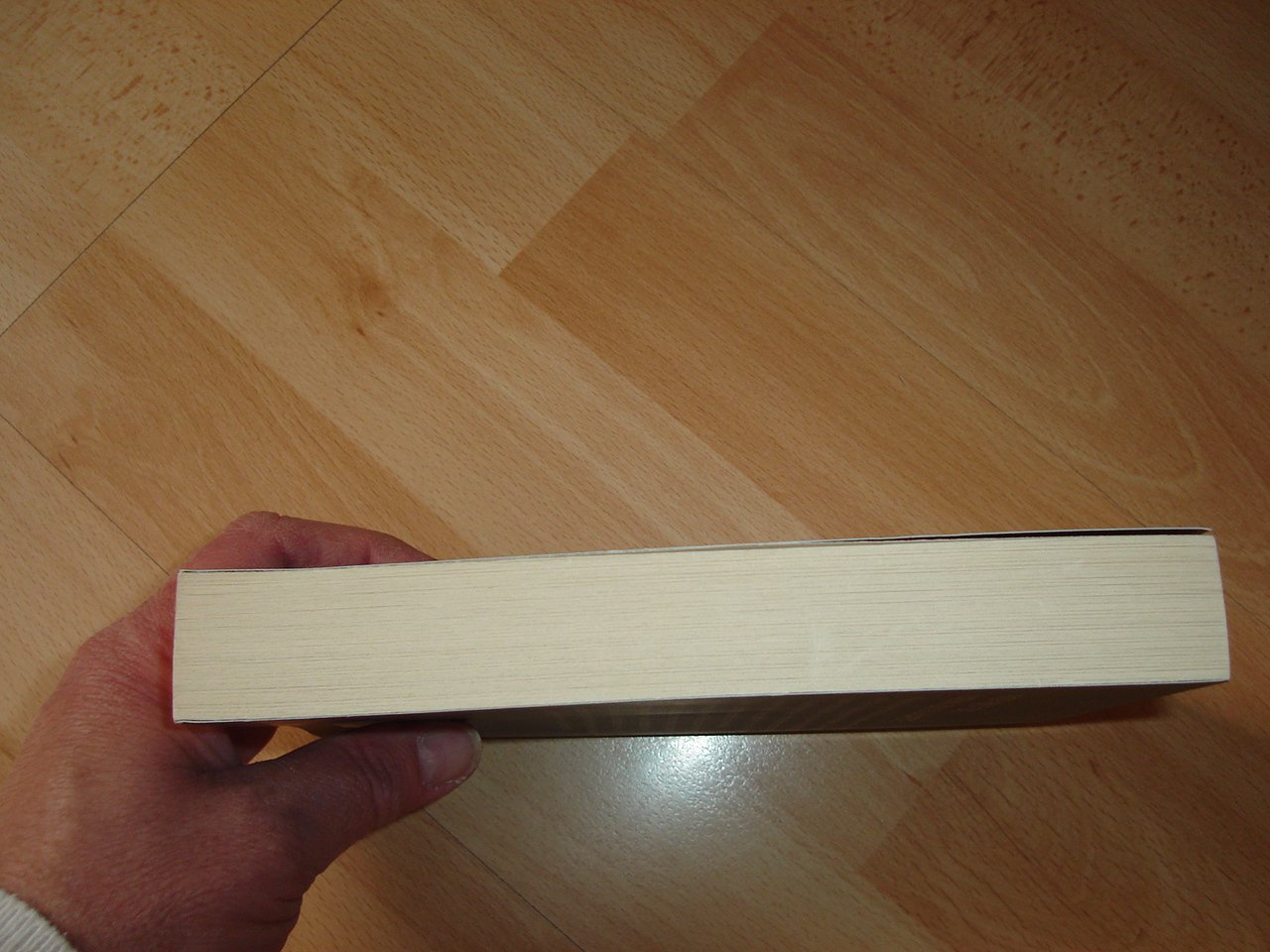 Der Nachtwandler - Sebastian Fitzek - Taschenbuch - Neuwertig - 2013